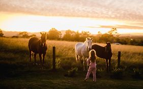 Fernhill Guest Farm